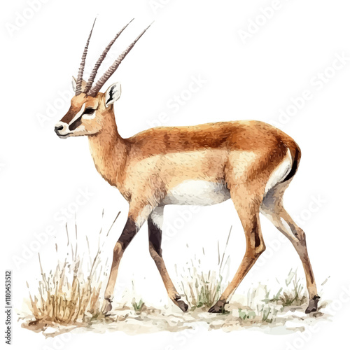 A watercolor painting of a saiga antelope crossing the steppe, isolated on a white background. Saiga antelope vector.
