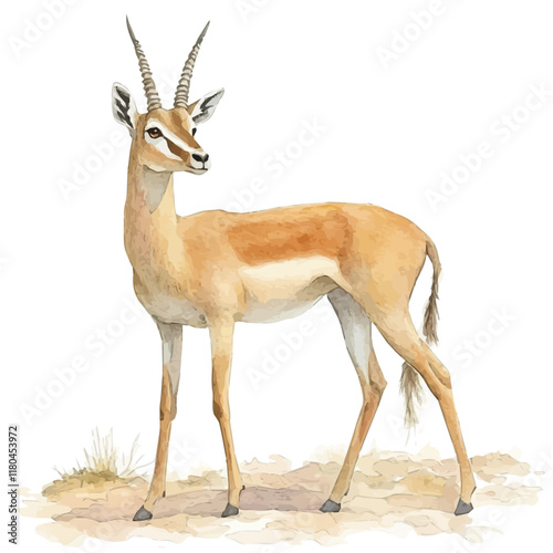 A watercolor painting of a saiga antelope crossing the steppe, isolated on a white background. Saiga antelope vector.
