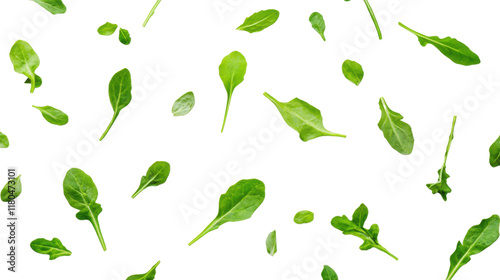 Green leaves transparent background