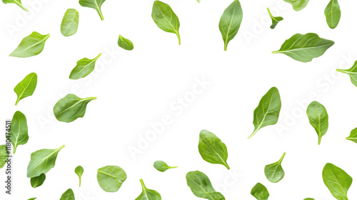 Green leaves transparent background