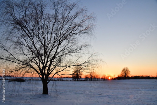 Winter Sunset