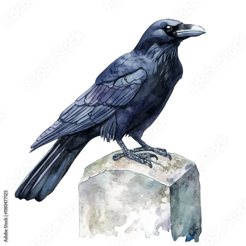 A watercolor drawing of a raven perched on a grave marker, isolated on a white background. Raven grave marker vector.
