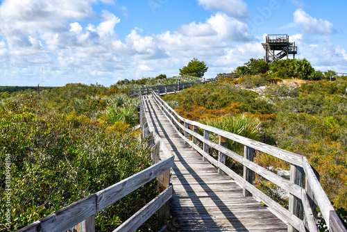 Tablou pe pânză Boardwalk leading up to an observation tower at Jonathan Dickinson State Park in Martin County, Florida