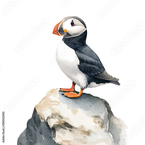 A watercolor vector of a puffin perched on a cliff, isolated on a white background. Puffin cliff vector.
