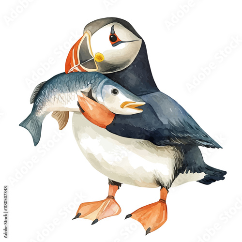 A watercolor drawing of a puffin carrying fish in its beak, isolated on a white background. Puffin fish vector.
