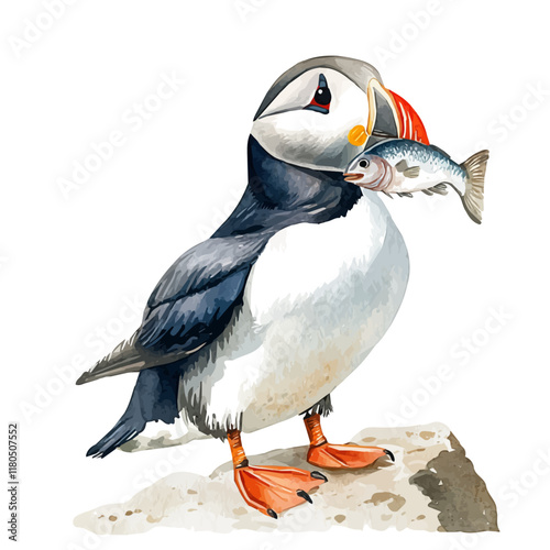 A watercolor of a puffin bringing fish to its burrow, isolated on a white background. Puffin burrow vector.
