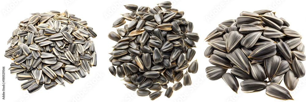 A close-up view of assorted sunflower seeds in varying sizes and shapes, arranged in three distinct piles. A close-up view of assorted sunflower seeds in varying sizes and shapes, arranged in three distinct piles.