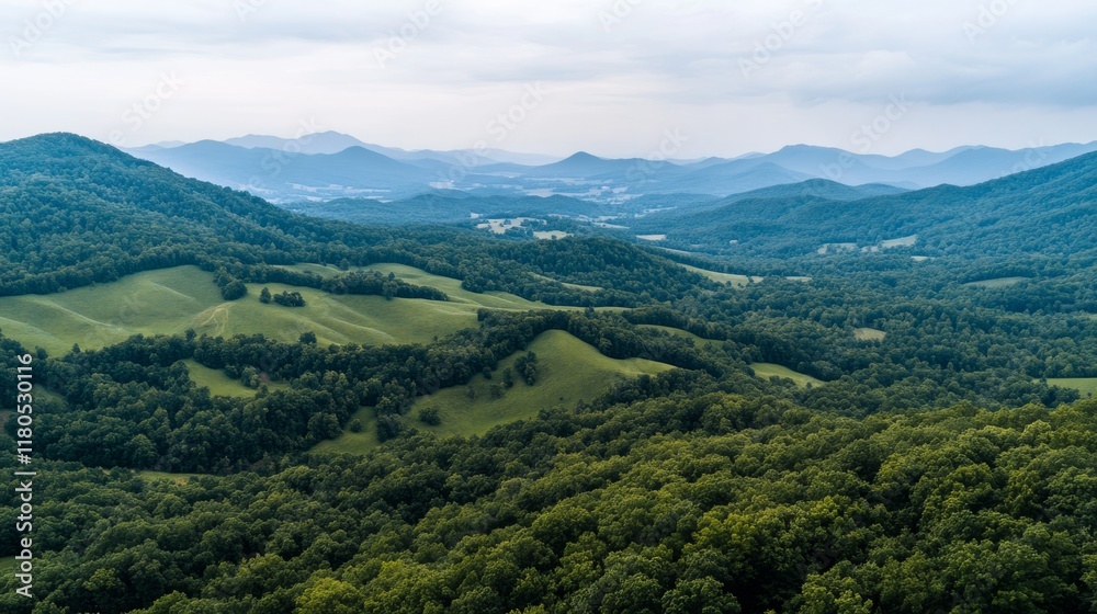 Fototapeta premium A stunning panorama unfolds, showcasing undulating hills and dense forests, stretching towards distant mountains under a muted sky.