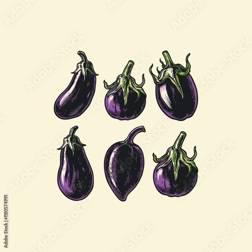 eggplant hand drawn design vector template