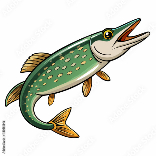 Colorful art of a Salmon Fish on a White Background - Vector Illustration