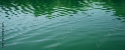 Fresh Solid Green Wallpaper and Background for Natural Aesthetics