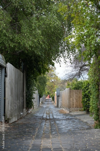 Canvas Print A laneway at back of houses