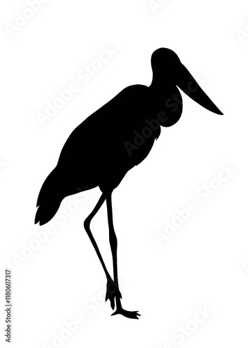 Silhouette image of jabiru stork bird isolated on white background 