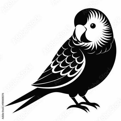 Budgerigar Silhouette Vector on White