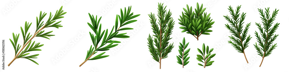 Fototapeta premium Green plant branches on a dark background