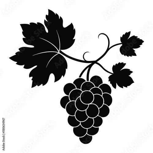 vector icon of grapes vine silhouette