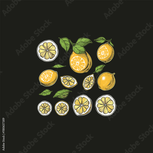 yuzu fruit hand drawn design vector template illustration