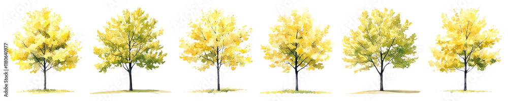 PNG Vibrant autumn trees illustration set, isolated on transparent background PNG Vibrant autumn trees illustration set, isolated on transparent background