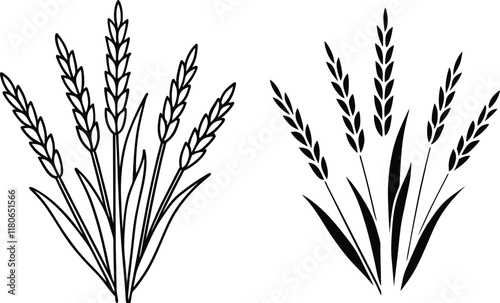 Wheat stalks, grains, harvest, agriculture, design, line art, black, white, illustration, nature