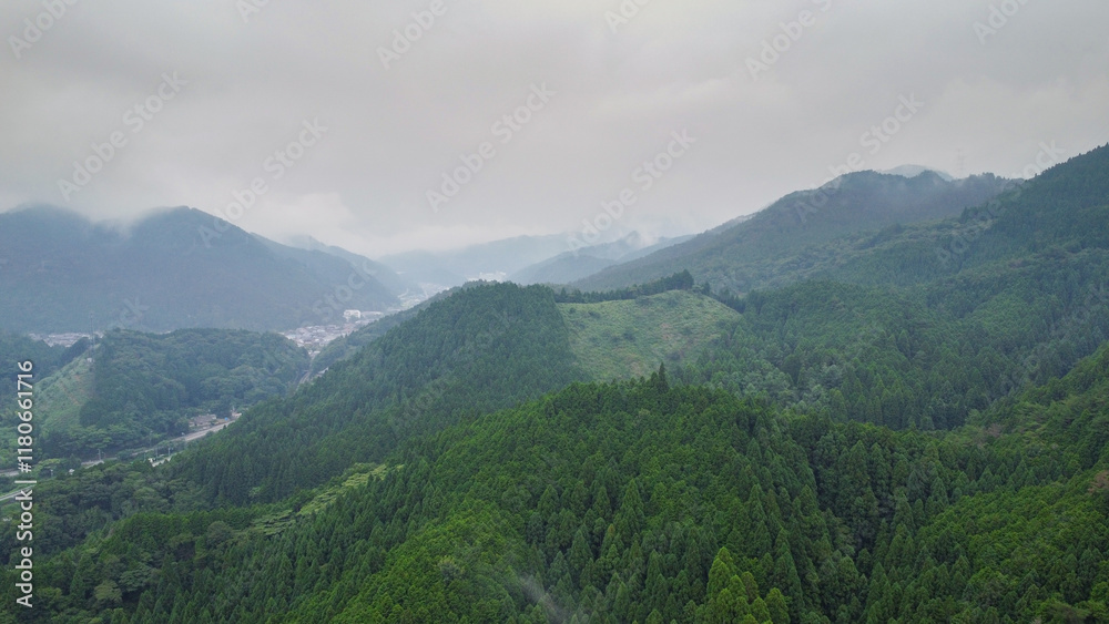 Fototapeta premium ドローン空撮 山林