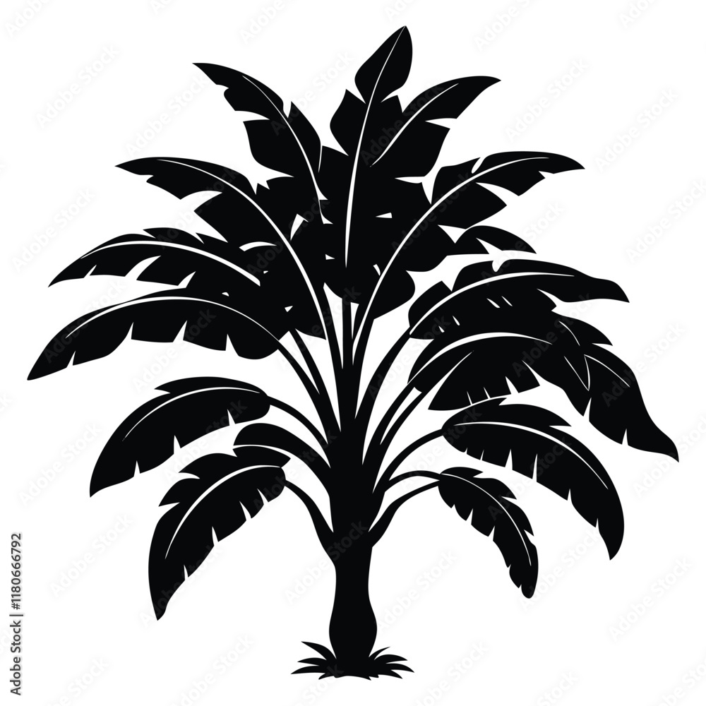 banana tree vector silhouette on white background banana tree vector silhouette on white background