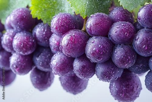 Wallpaper Mural Purple grapes, dewy, fresh, bunch, close-up. Torontodigital.ca
