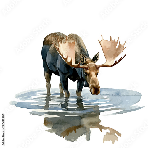 A watercolor painting of a moose wading in shallow water, isolated on a white background. Moose vector.
