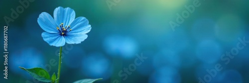 Delicate blue flower stem isolated on a chaotic sea of forget me nots, single, nature