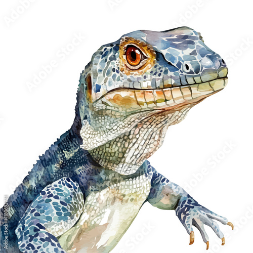 A watercolor painting of a monitor lizard stalking prey, isolated on a white background. Monitor lizard vector.
