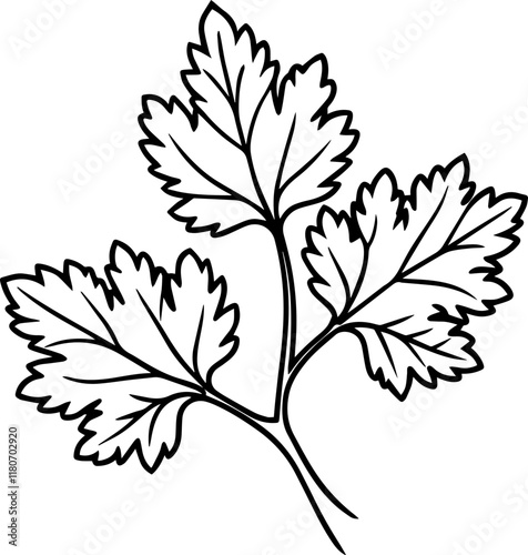 parsley outline coloring book page line art vector illustration