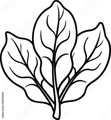 spinach outline coloring book page line art vector illustration