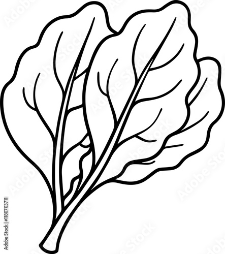 spinach outline coloring book page line art vector illustration