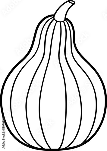 squash outline coloring book page line art vector illustration