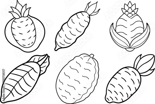 Set of taro outline coloring book page line art vector illustration