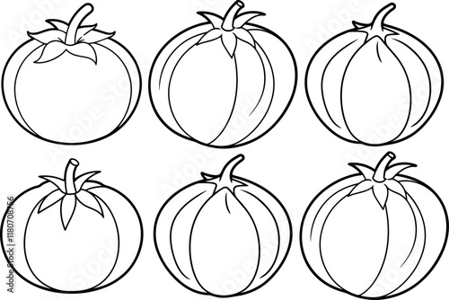 Set of tomatillo outline coloring book page line art vector illustration