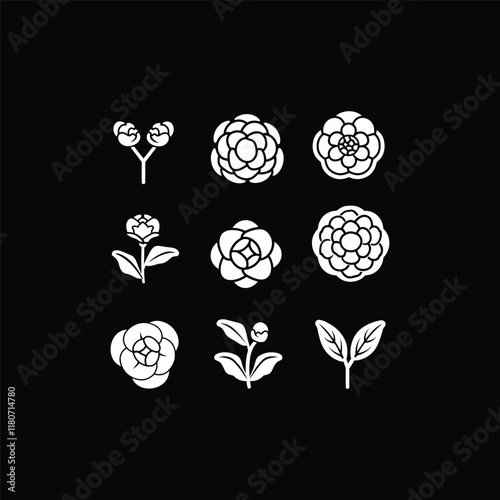 set of modern camellia flower design vector template