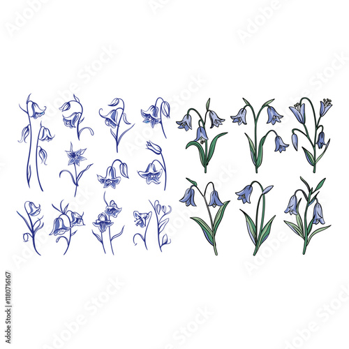set of modern bluebell flower design vector template