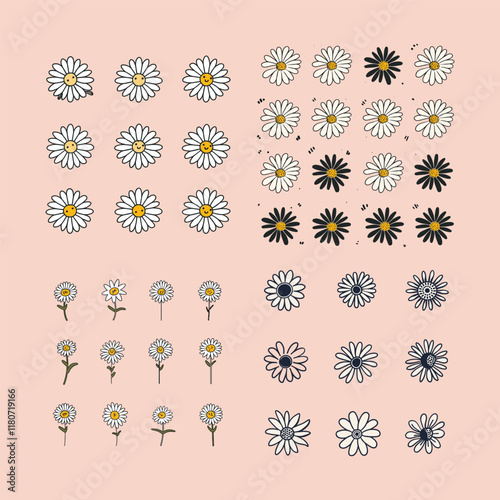 set of daisy flower modern design vector template