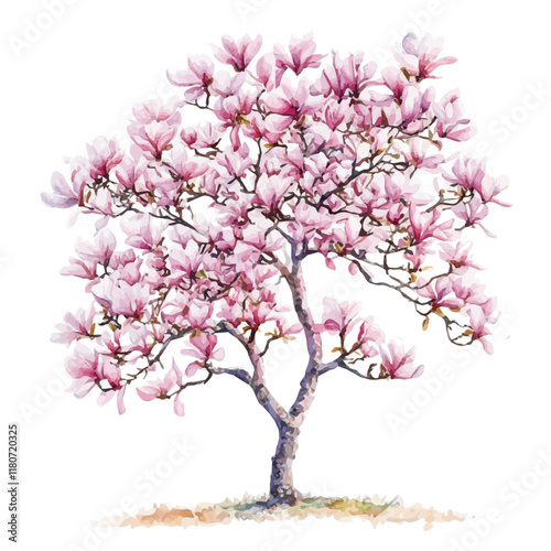 A watercolor of a magnolia tree with its large, fragrant flowers in full bloom, isolated on a white background. Magnolia tree vector.
