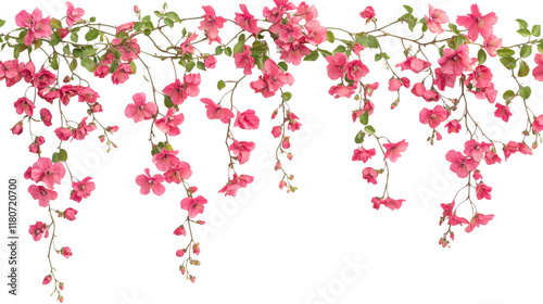 Wallpaper Mural Hanging flowers transparent background Torontodigital.ca