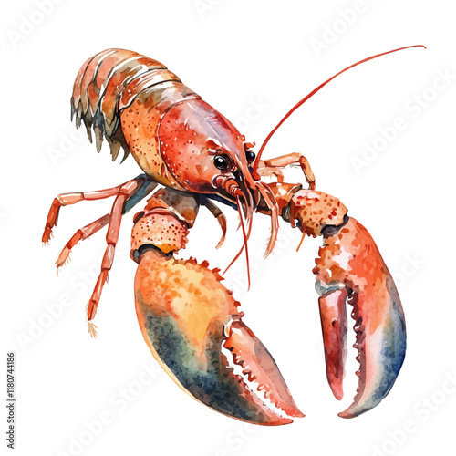 A watercolor vector of a lobster walking on the ocean floor, surrounded by coral and seaweed, isolated on a white background. Lobster ocean vector.
