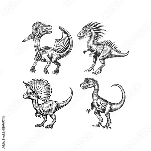 Dinosaurs hand draw engraving design vector template illustration