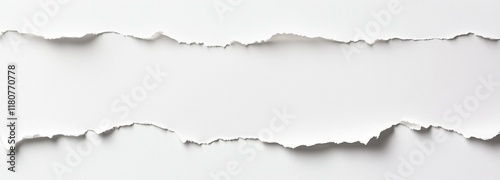 Ragged white paper edge, horizontal banner space on white.