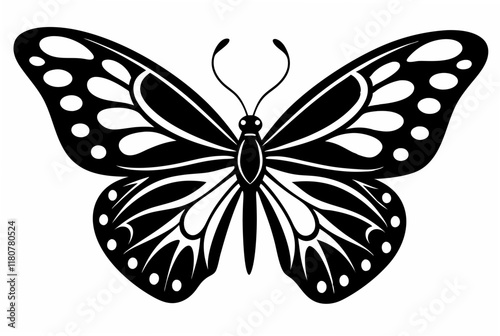 butterfly stencil  silhouette illustration