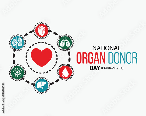 Vector illustration on the theme of National Organ Donor day observed each year on February 14th. National donor day. background, banner, card, poster, template. 