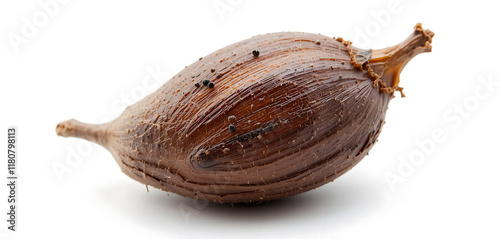 Wallpaper Mural Close-up of a Dried Nipa Fruit on White Background Torontodigital.ca