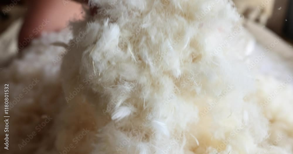 Soft fluffy feather fibers for pillows and blankets Soft fluffy feather fibers for pillows and blankets