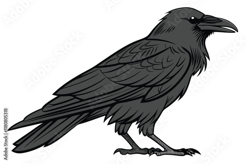 black raven, detailed feathers, glossy plumage, sharp beak, imposing stance, side view, stark contrast, white background, high resolution, realistic texture, wildlife photography, ominous atmosphere,  photo