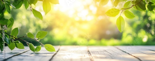 Sunny Green Spring Background