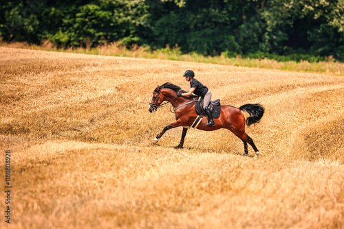 Horse with rider galloping on the stubble field.